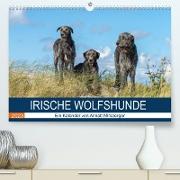 Irische Wolfshunde (Premium, hochwertiger DIN A2 Wandkalender 2023, Kunstdruck in Hochglanz)