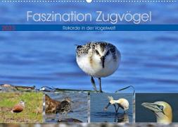 Faszination Zugvögel - Rekorde in der Vogelwelt (Wandkalender 2023 DIN A2 quer)