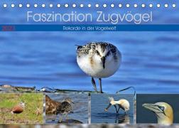 Faszination Zugvögel - Rekorde in der Vogelwelt (Tischkalender 2023 DIN A5 quer)
