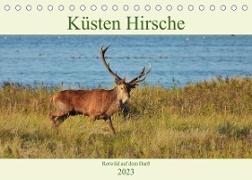 Küsten Hirsche - Rotwild auf dem Darß (Tischkalender 2023 DIN A5 quer)