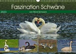 Faszination Schwäne (Wandkalender 2023 DIN A3 quer)