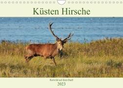 Küsten Hirsche - Rotwild auf dem Darß (Wandkalender 2023 DIN A4 quer)