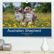 Australian Shepherd 2023 (Premium, hochwertiger DIN A2 Wandkalender 2023, Kunstdruck in Hochglanz)