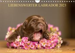 Liebenswerter Labrador 2023 (Wandkalender 2023 DIN A4 quer)