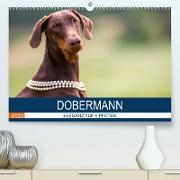 Dobermann 2023 (Premium, hochwertiger DIN A2 Wandkalender 2023, Kunstdruck in Hochglanz)