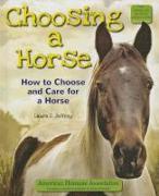 Choosing a Horse: How to Choose and Care for a Horse