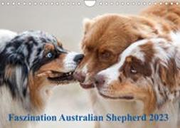 Australian Shepherd 2023 (Wandkalender 2023 DIN A4 quer)