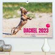 DACKEL 2023 Frech und Liebenwert (Premium, hochwertiger DIN A2 Wandkalender 2023, Kunstdruck in Hochglanz)
