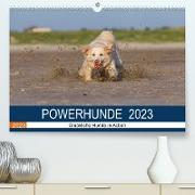 POWERHUNDE 2023 (Premium, hochwertiger DIN A2 Wandkalender 2023, Kunstdruck in Hochglanz)