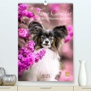 Flora Canidae - der Hunde-Blühpflanzen-Kalender (Premium, hochwertiger DIN A2 Wandkalender 2023, Kunstdruck in Hochglanz)