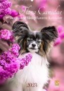 Flora Canidae - der Hunde-Blühpflanzen-Kalender (Wandkalender 2023 DIN A2 hoch)