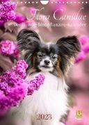 Flora Canidae - der Hunde-Blühpflanzen-Kalender (Wandkalender 2023 DIN A4 hoch)