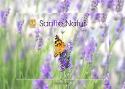 Sanfte Natur (Wandkalender 2023 DIN A2 quer)