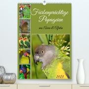 Farbenprächtige Papageien aus Asien und Afrika (Premium, hochwertiger DIN A2 Wandkalender 2023, Kunstdruck in Hochglanz)