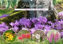Heilpflanzen - Schätze im Garten (Wandkalender 2023 DIN A2 quer)