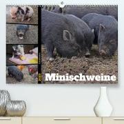 Faszination Minischweine (Premium, hochwertiger DIN A2 Wandkalender 2023, Kunstdruck in Hochglanz)