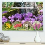 Heilpflanzen - Schätze im Garten (Premium, hochwertiger DIN A2 Wandkalender 2023, Kunstdruck in Hochglanz)