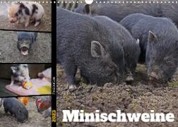 Faszination Minischweine (Wandkalender 2023 DIN A3 quer)