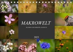 Makrowelt - Blumen und Insekten im Focus (Tischkalender 2023 DIN A5 quer)