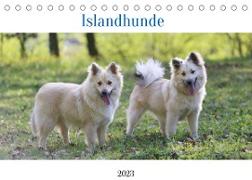 Islandhunde (Tischkalender 2023 DIN A5 quer)