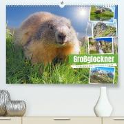 Großglockner wunderschöne Berg- und TierweltAT-Version (Premium, hochwertiger DIN A2 Wandkalender 2023, Kunstdruck in Hochglanz)