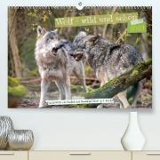 Wolf - wild und schön (Premium, hochwertiger DIN A2 Wandkalender 2023, Kunstdruck in Hochglanz)