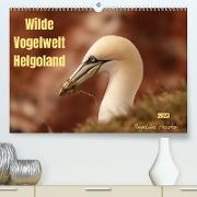 Wilde Vogelwelt Helgoland (Premium, hochwertiger DIN A2 Wandkalender 2023, Kunstdruck in Hochglanz)