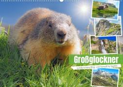 Großglockner wunderschöne Berg- und TierweltAT-Version (Wandkalender 2023 DIN A2 quer)