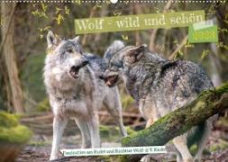 Wolf - wild und schön (Wandkalender 2023 DIN A2 quer)