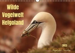 Wilde Vogelwelt Helgoland (Wandkalender 2023 DIN A3 quer)
