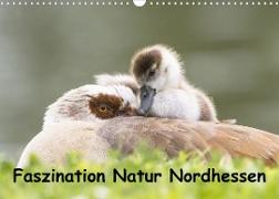 Faszination Natur Nordhessen (Wandkalender 2023 DIN A3 quer)