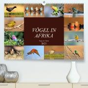 Vögel in Afrika - Magie der Farben (Premium, hochwertiger DIN A2 Wandkalender 2023, Kunstdruck in Hochglanz)