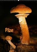 Pilze (Wandkalender 2023 DIN A2 hoch)