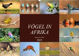 Vögel in Afrika - Magie der Farben (Wandkalender 2023 DIN A2 quer)