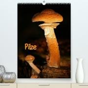 Pilze (Premium, hochwertiger DIN A2 Wandkalender 2023, Kunstdruck in Hochglanz)