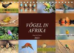 Vögel in Afrika - Magie der Farben (Tischkalender 2023 DIN A5 quer)