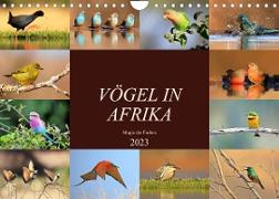 Vögel in Afrika - Magie der Farben (Wandkalender 2023 DIN A4 quer)