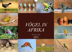 Vögel in Afrika - Magie der Farben (Wandkalender 2023 DIN A3 quer)