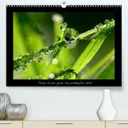 Meine kleine grüne Wassertropfen Welt (Premium, hochwertiger DIN A2 Wandkalender 2023, Kunstdruck in Hochglanz)