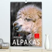 Putzige Alpakas (Premium, hochwertiger DIN A2 Wandkalender 2023, Kunstdruck in Hochglanz)