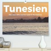 Tunesien - Das beeindruckende Land in Nordafrika. (Premium, hochwertiger DIN A2 Wandkalender 2023, Kunstdruck in Hochglanz)