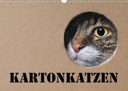 Karton Katzen (Wandkalender 2023 DIN A3 quer)