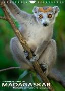 MADAGASKAR: Baobabs, Lemuren, Naturwunder (Wandkalender 2023 DIN A4 hoch)