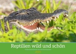 Reptilien wild und schön (Wandkalender 2023 DIN A2 quer)