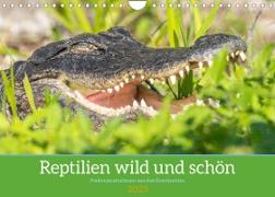 Reptilien wild und schön (Wandkalender 2023 DIN A4 quer)
