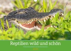 Reptilien wild und schön (Wandkalender 2023 DIN A3 quer)