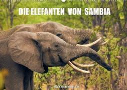Die Elefanten von Sambia (Wandkalender 2023 DIN A2 quer)