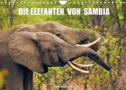 Die Elefanten von Sambia (Wandkalender 2023 DIN A4 quer)