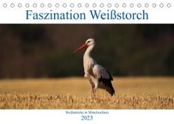 Faszination Weißstorch (Tischkalender 2023 DIN A5 quer)