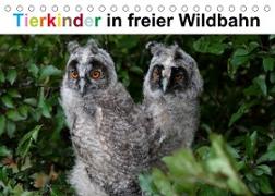 Tierkinder in freier Wildbahn (Tischkalender 2023 DIN A5 quer)